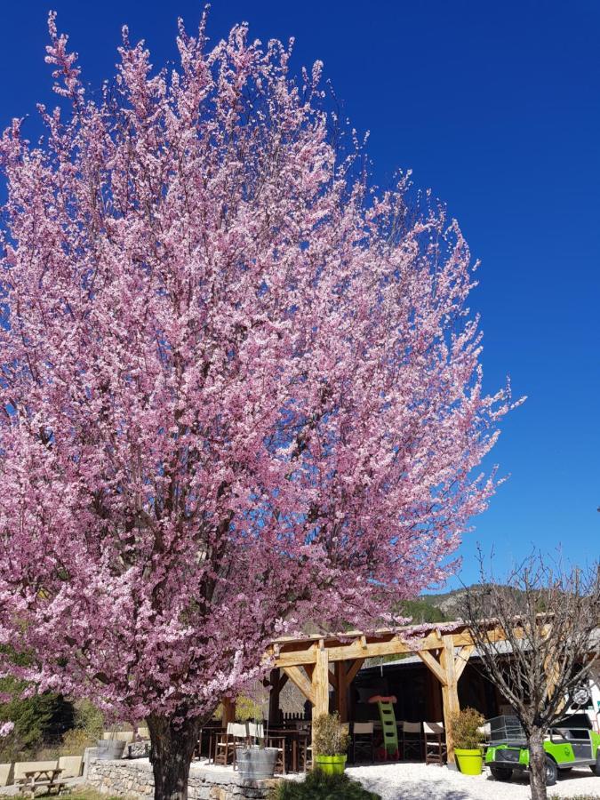 Camping Calme Et Nature Castellane Exterior foto